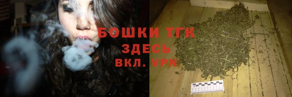дживик Абаза