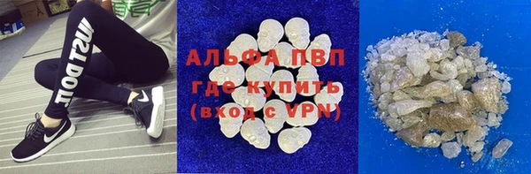 ГАЛЛЮЦИНОГЕННЫЕ ГРИБЫ Алзамай